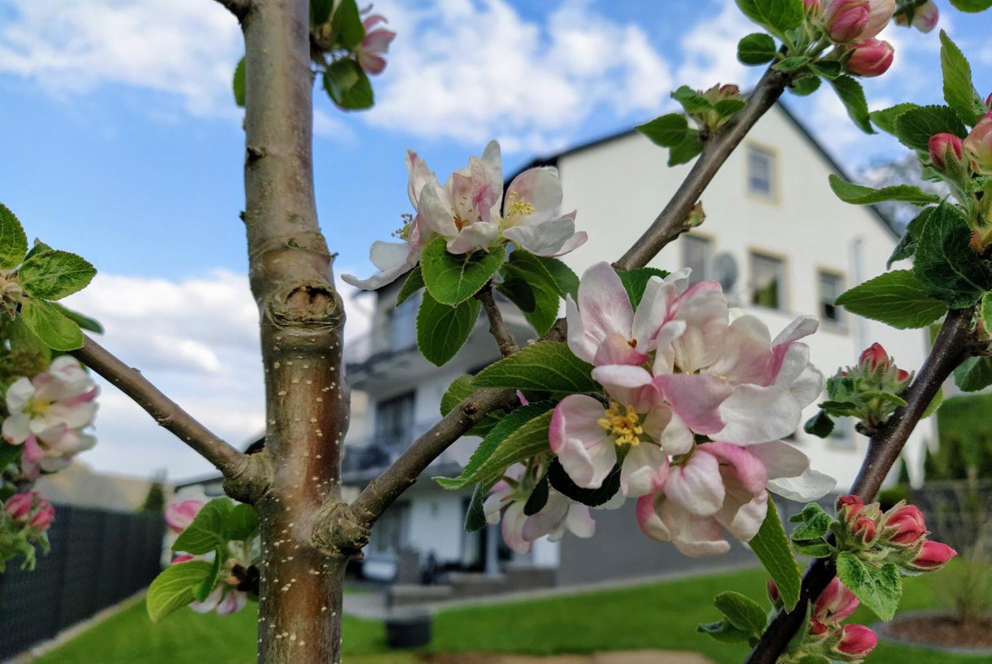 Kleine Auszeit Apartman Cochem Kültér fotó
