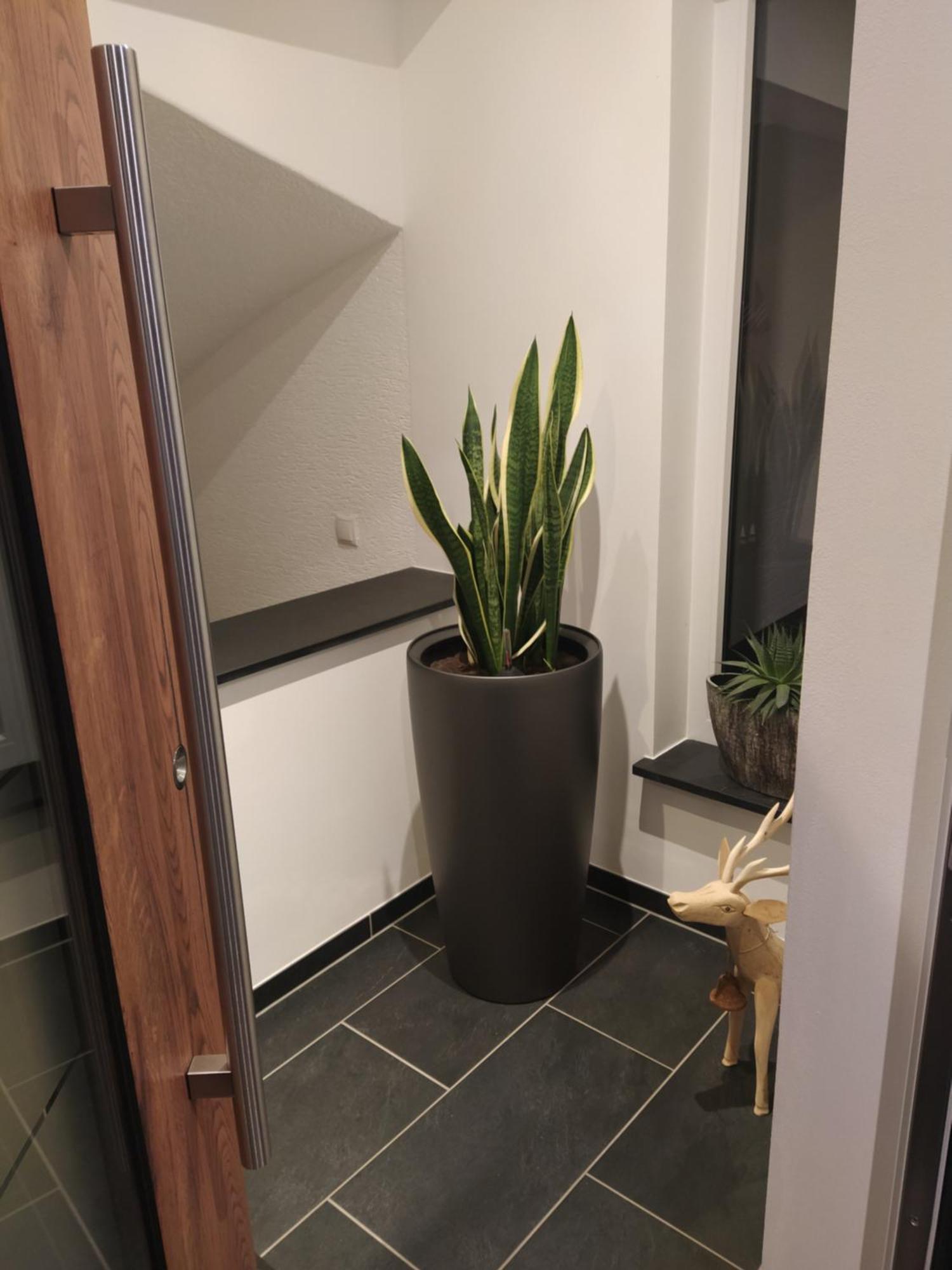 Kleine Auszeit Apartman Cochem Kültér fotó